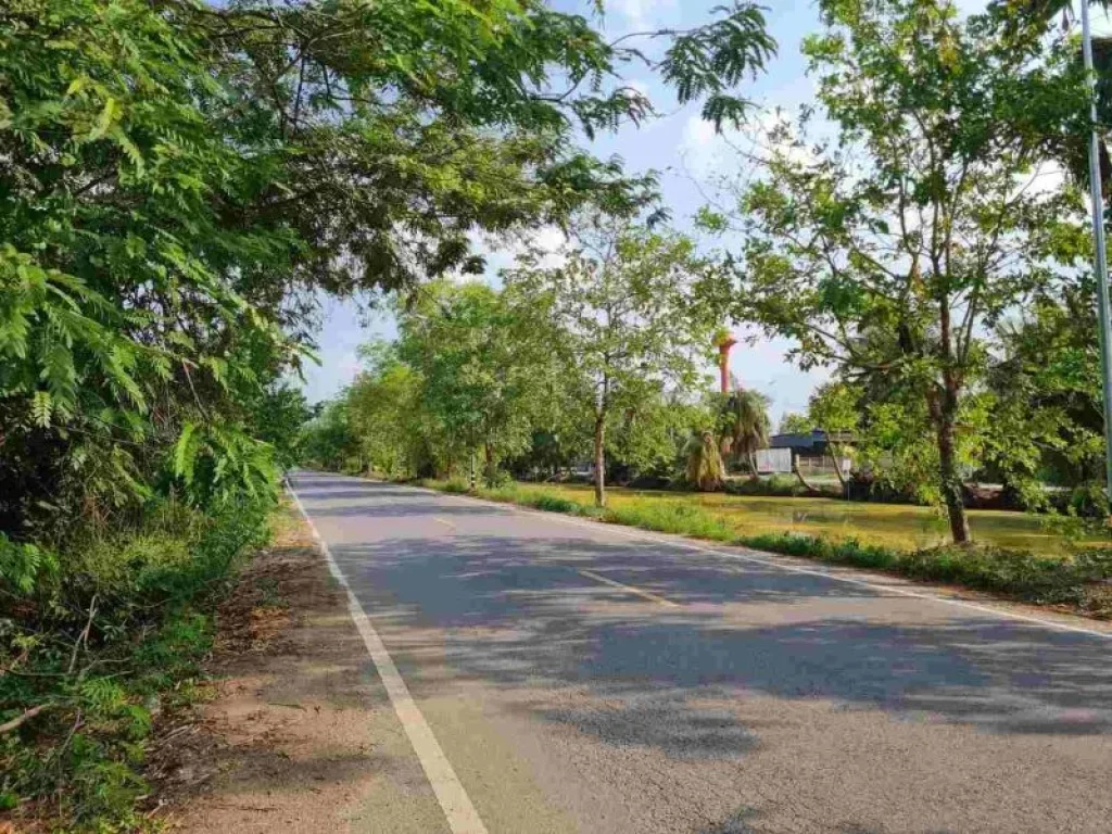 ขายที่ดินติดถนนคลอง12 ทำเลสวย ที่ดินสีชมพู จังหวัดปทุมธานี