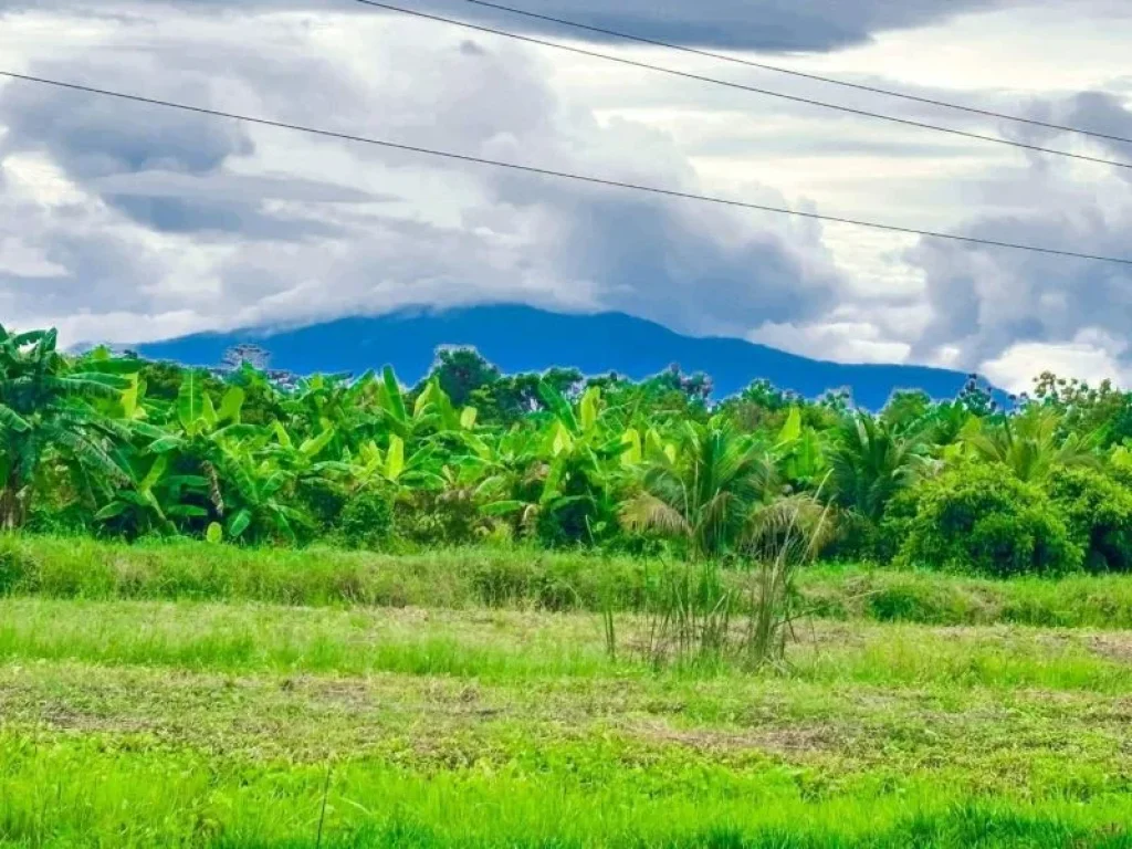 ขายที่ดิน 100 ตรววิวดอย ใกล้ทั้ง เชียงใหม่ ลำพูน