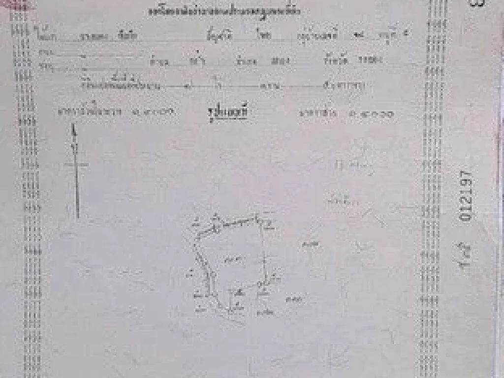 ขายที่ดิน สวนทุเรียนสวย ทำเลดี 15 ไร่ 3 งาน 77 ตารางวา