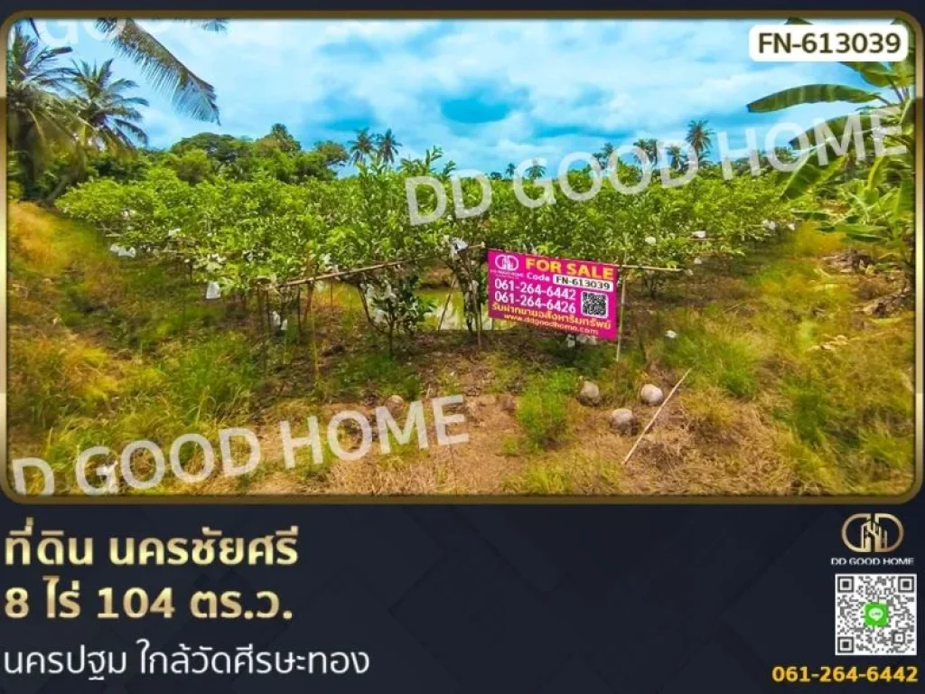 ที่ดิน นครชัยศรี 8 ไร่ 104 ตรว นครปฐม ใกล้วัดศีรษะทอง