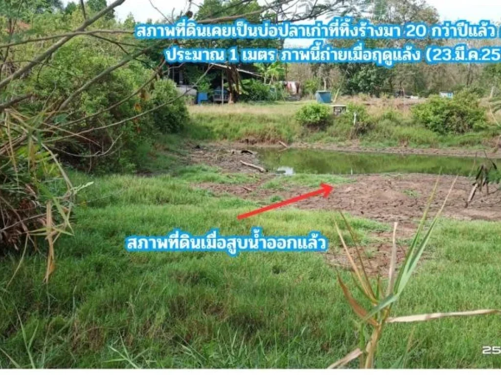 ขายที่ดิน ติดคลอง 2 ไร่ ใกล้ถนนสิริโสธร หรือถนน 314