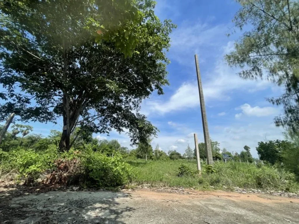 ที่ดินว่างเปล่ามีต้นไม้ใหญ่ ขึ้นอำเภอเมืองขอนแก่น