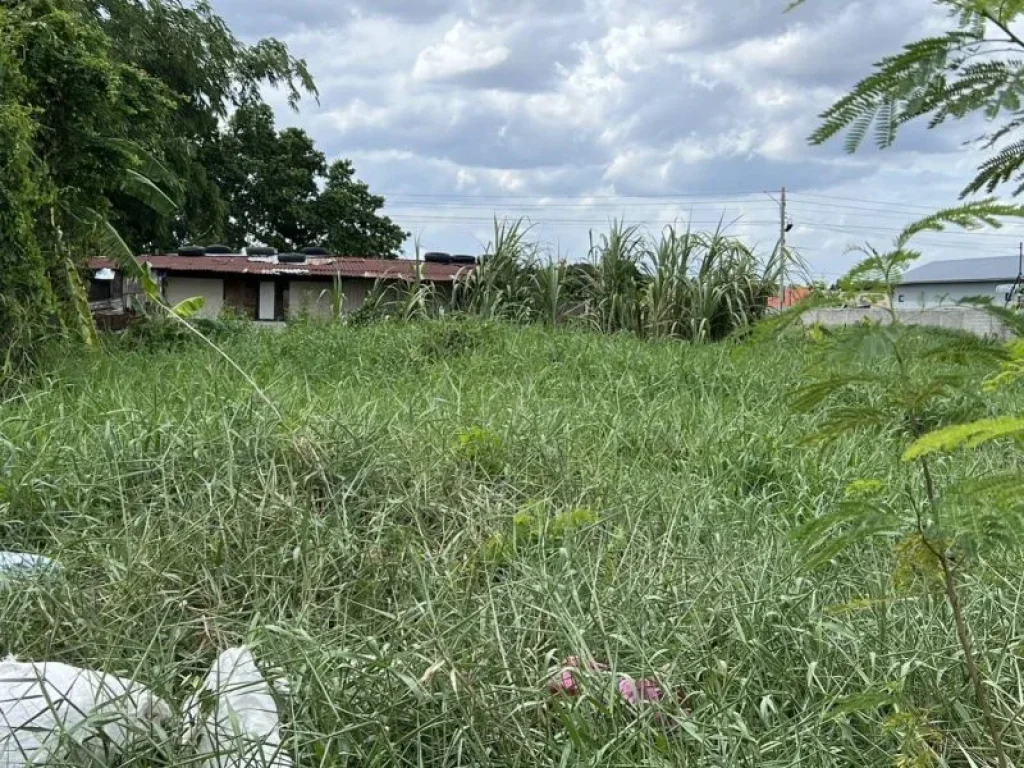 ขายที่ดิน 200 ตรว ซอยลำลูกกา 112 ขายต่ำกว่าราคาตลาด