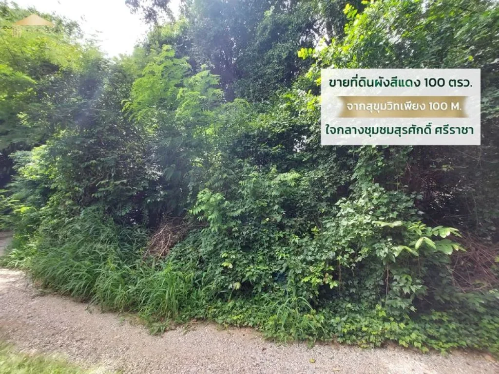 ขายที่ดินผังสีแดง 100 ตรว สุรศักดิ์ ศรีราชา ราคาดีสุดๆ