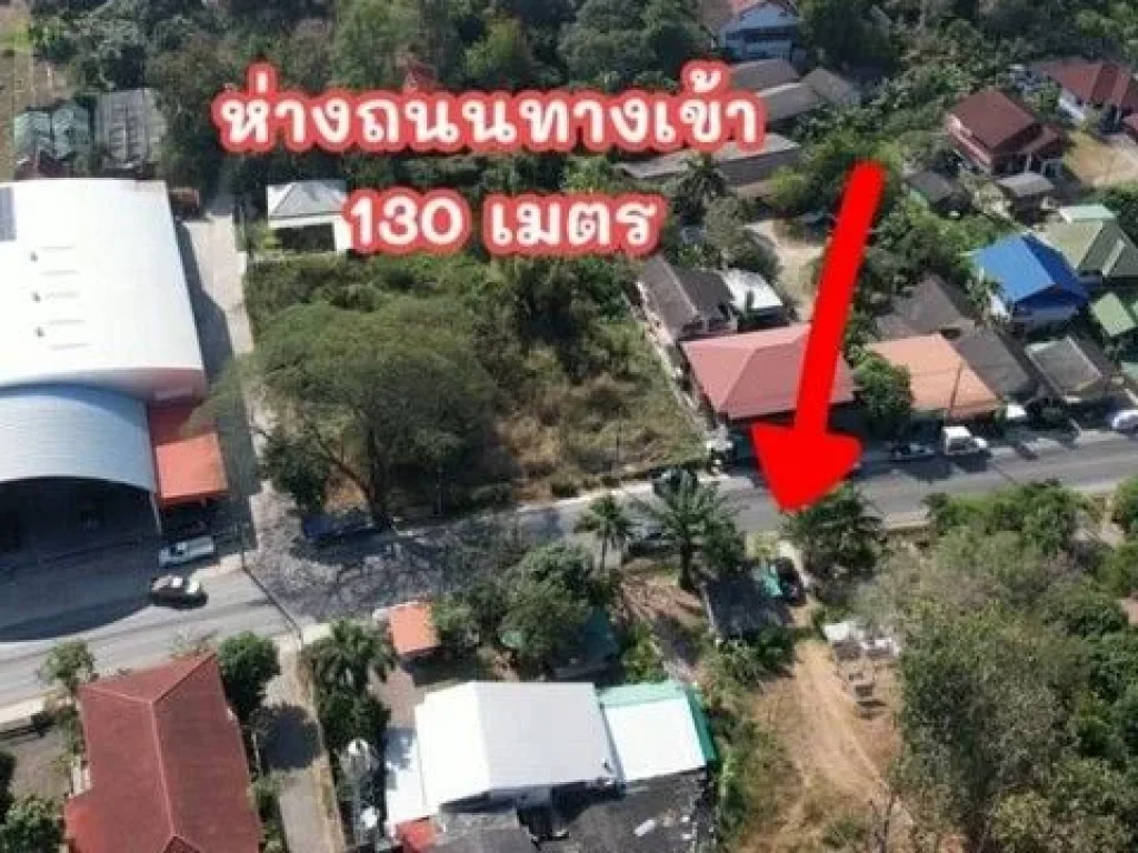 ขายที่ดินบนเนิน แม่ริม ทำเลดี่ ร้อนเงิน ใกล้ 7-11 เพียง 250