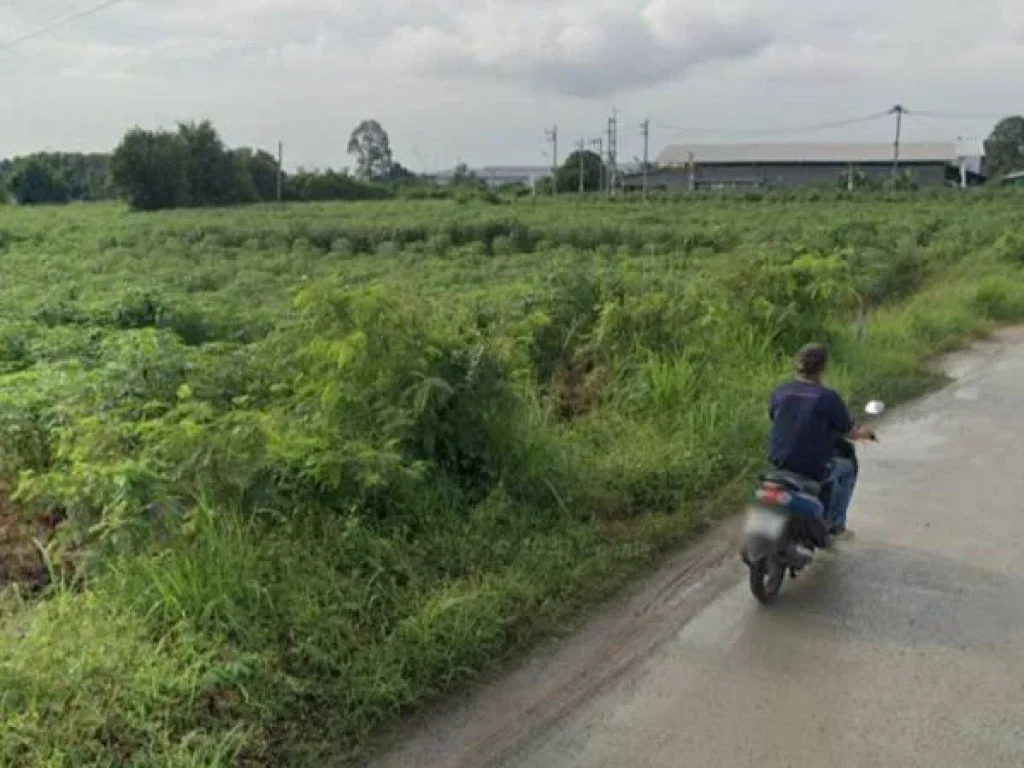 ขายที่ดินเปล่า พื้นที่สีส้ม ติดถนนคอนกรีต