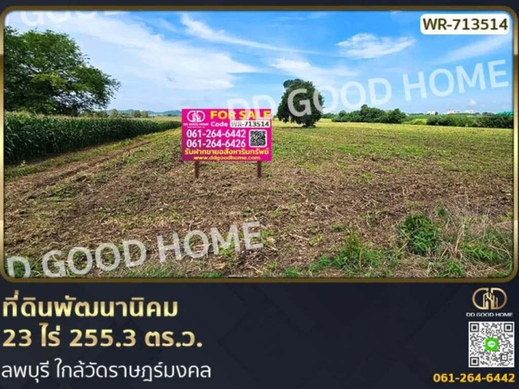 ที่ดินพัฒนานิคม 23 ไร่ 2553 ตรว ลพบุรี ใกล้วัดราษฎร์มงคล