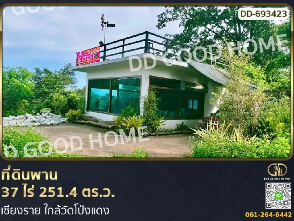 ที่ดินพาน 37 ไร่ 2514 ตรว เชียงราย ใกล้วัดโป่งแดง