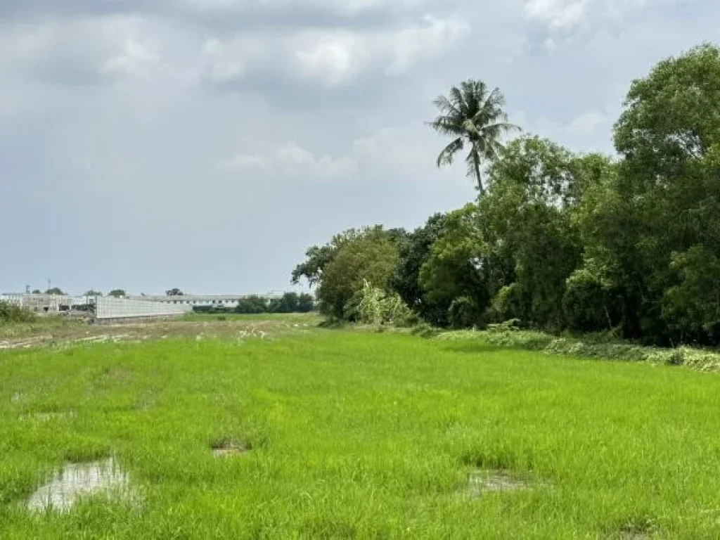 ที่ดินวงแหวน-บางบัวทอง ติดหมู่บ้านเสนา วีว่า