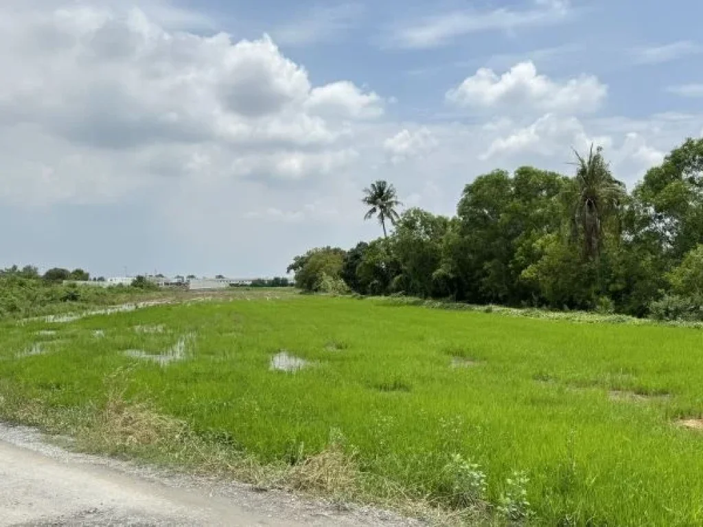 ที่ดินวงแหวน-บางบัวทอง ติดหมู่บ้านเสนา วีว่า