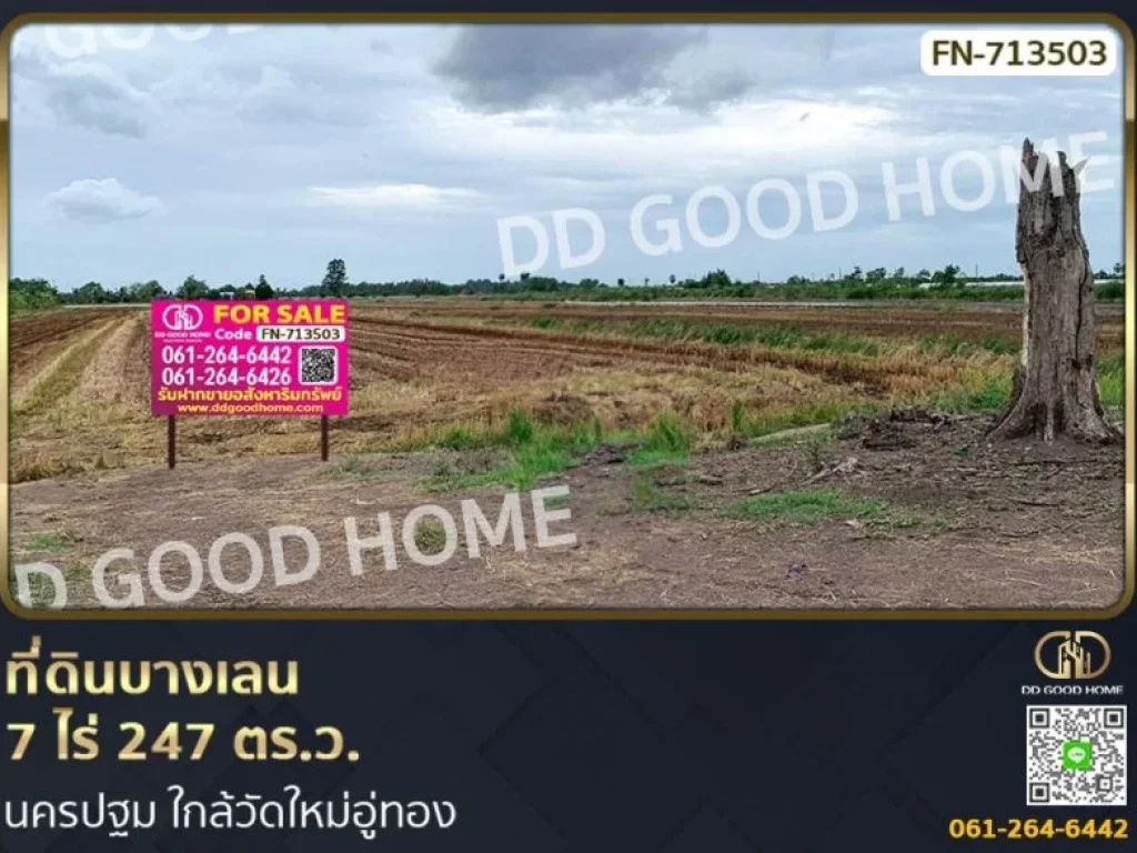 ที่ดินบางเลน 7 ไร่ 247 ตรว นครปฐม ใกล้วัดใหม่อู่ทอง