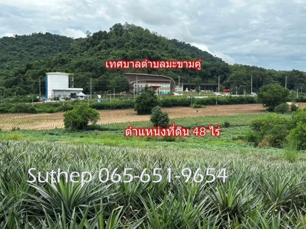 ขายที่ดินผังสีม่วง 48 ไร่ ราคาถูกที่สุด เหมาะสร้างโรงงาน