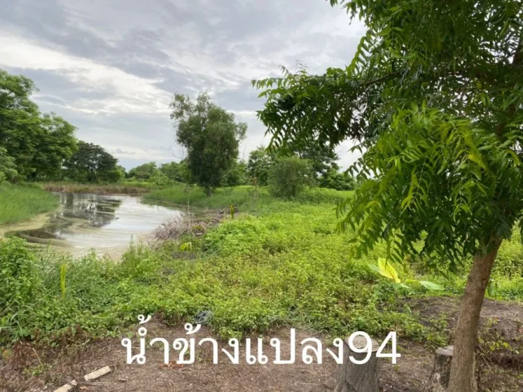 ขายด่วน ที่ดินแปลงจัดสรรล้อคที่97และ76 เนื้อที่ 1-1-94 ไร่