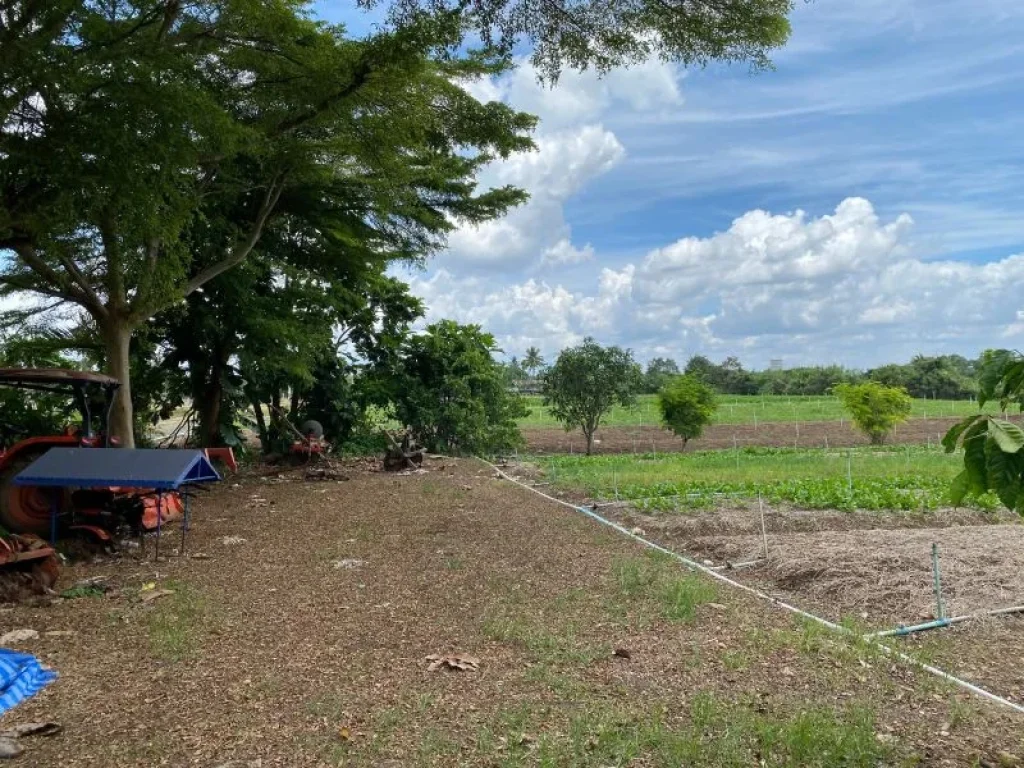 ขายที่ดินริมน้ำเขาใหญ่ หลังTayamaFarmKhaoyai วิวลำธารเขา