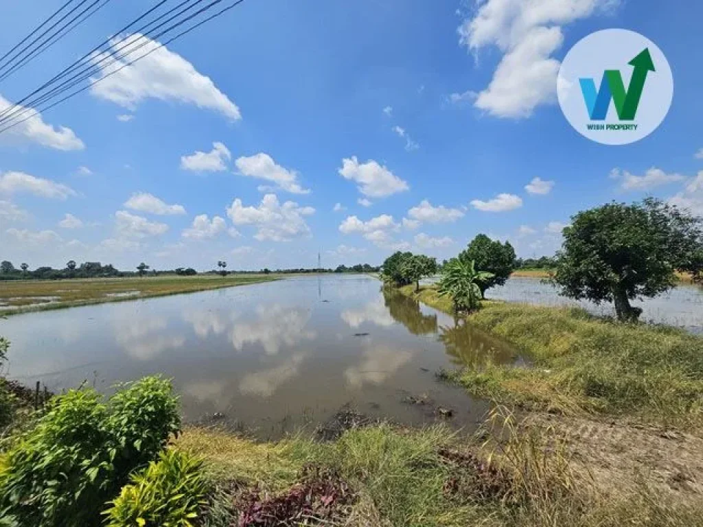 ขายที่ดินเปล่า 22 ไร่ 3 งาน สามชุก สุพรรณบุรี