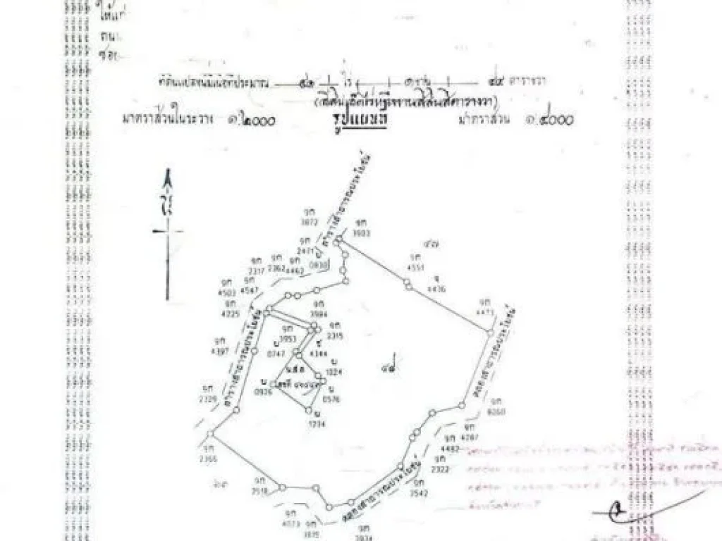 ที่ดินสวยและบรรยากาศดีมาก มีถนนผ่ากลาง อยู่หลังโรงพยาบาลมะขาม