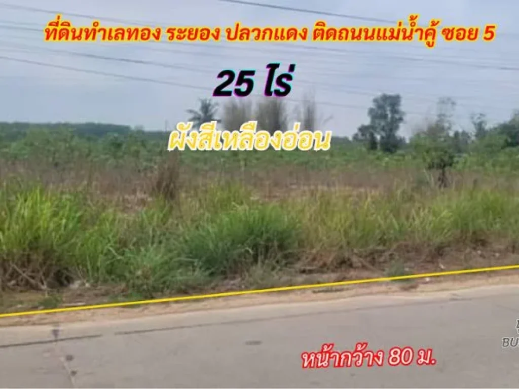 ขายที่ดินระยอง ปลวกแดง 25 ไร่ พื้นที่สีเหลืองอ่อน