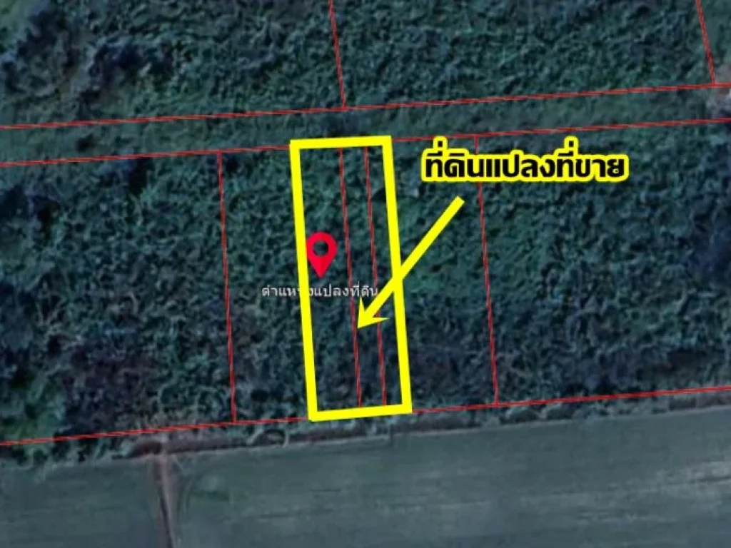 ขายที่ดินซอยอุ่นสุข ใกล้เวิร์คพอยท์ ปทุมธานี