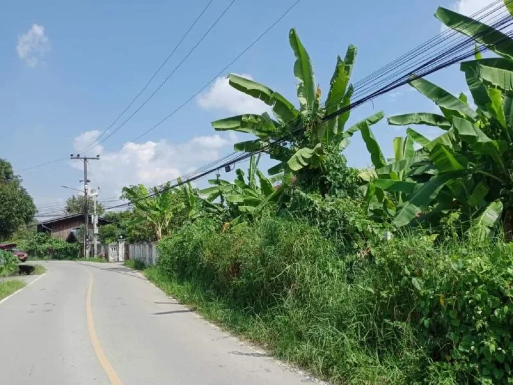 ขายที่ดินติดถนนค้าขายได้ตำบลสันพระเนตรสันทรายโฉนดพร้อมโอน