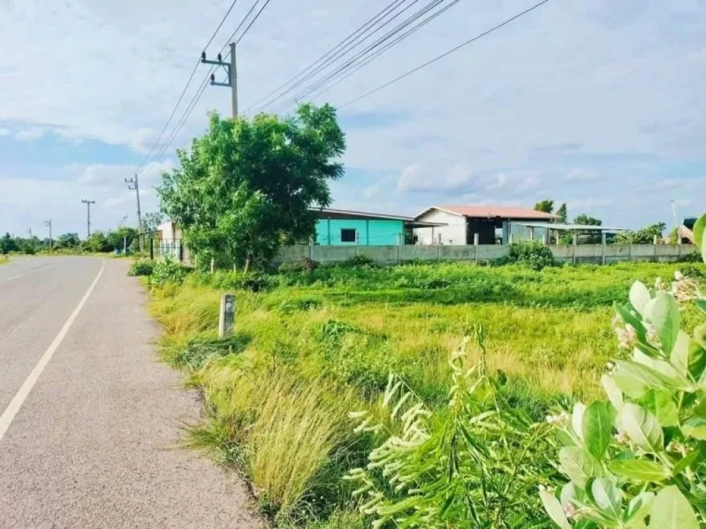 ขายที่ดิน อำเภอเมืองนครราชสีมา โคราช ตหนองไข่น้ำ ติดถนน 2