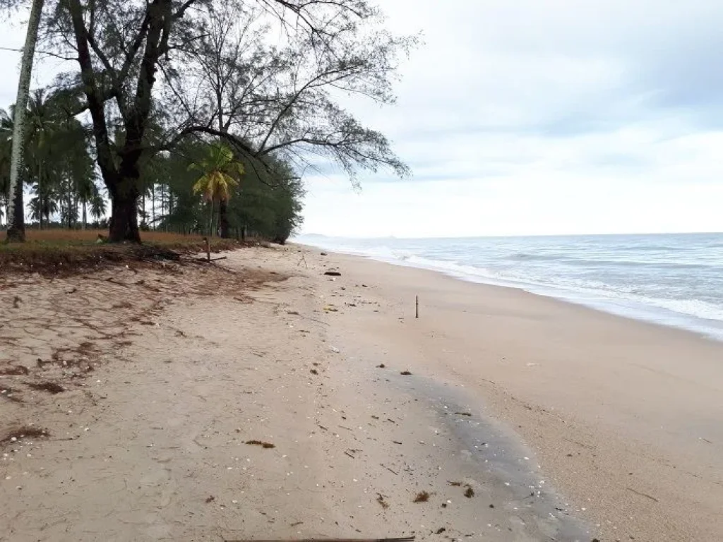 ขายที่ดินชายทะเลหาดเสาเภา อสิชล จนครศรีธรรมราช 68 ไร่ 2