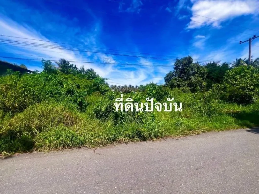 ขายที่ดินใกล้ทะเล เนื้อที่ 6-3-27 ไร่ ตหนองจอก ท่ายาง