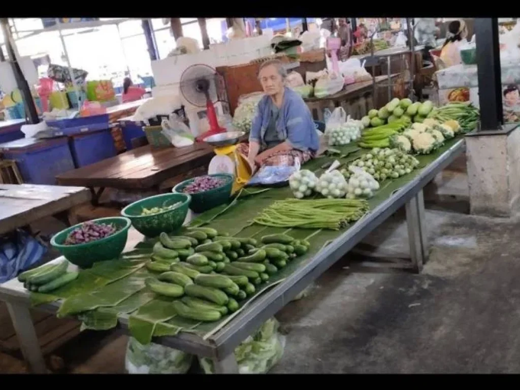 ขายตลาดสดใจกลางเมือง ถนนนิตโย ตหมากแข้ง อเมืองอุดรธานี