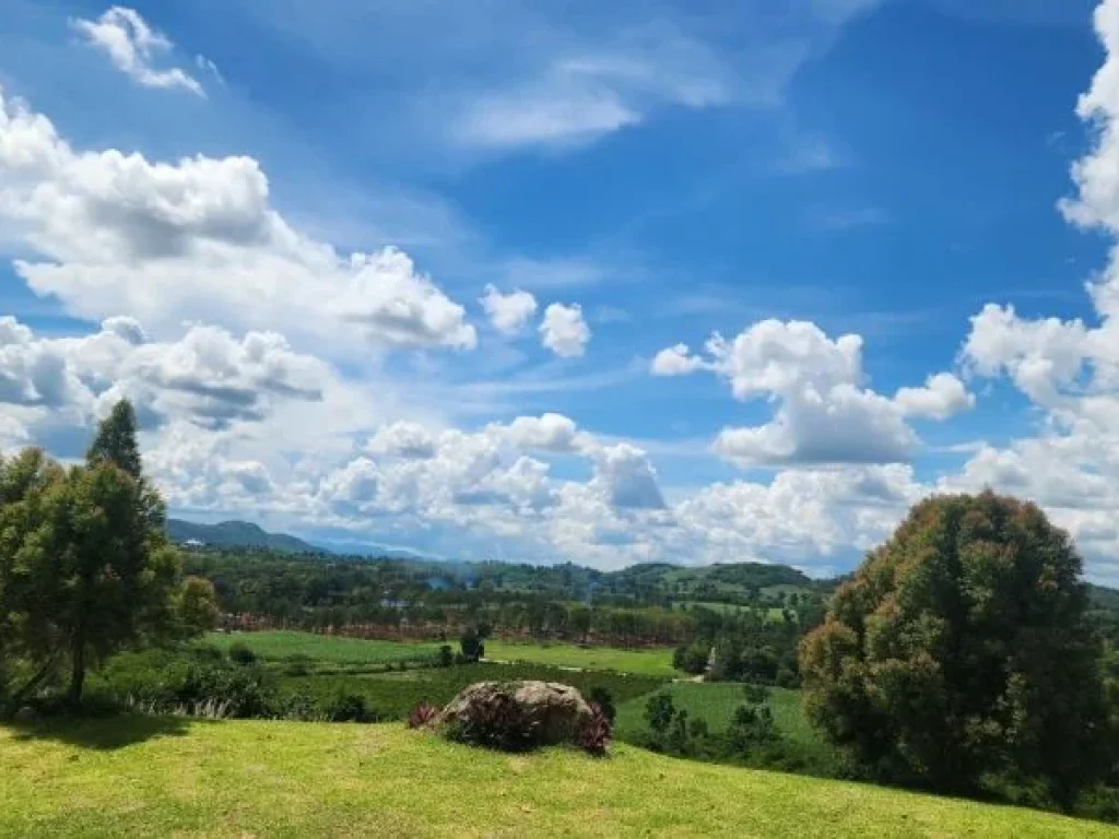 ขายที่ดินเขาใหญ่ บนเนินเขา วิว360องศา ที่ดินจัดสรรฯ