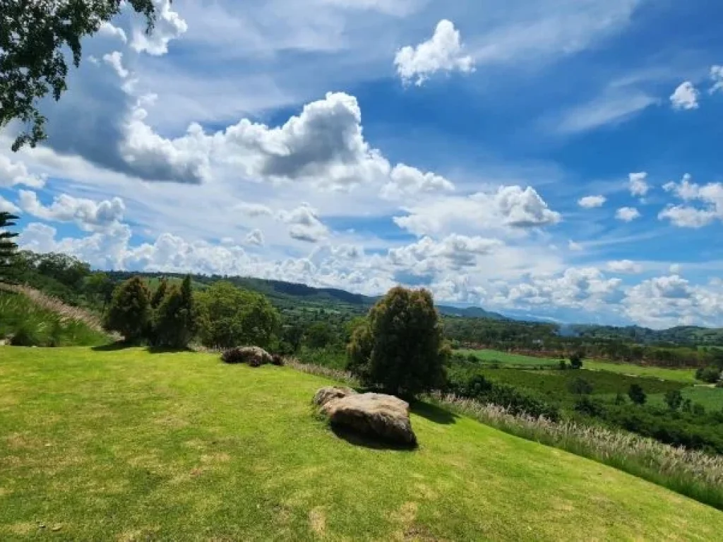 ขายที่ดินเขาใหญ่ บนเนินเขา วิว360องศา ที่ดินจัดสรรฯ