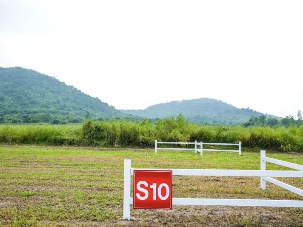 ขายที่ดิน พุหวายวิว เริ่มต้น 1 ไร่ ชะอำ เพชรบุรี