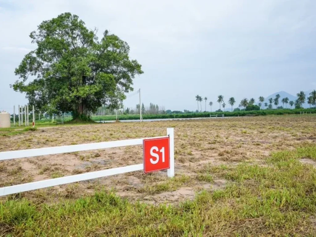 ขายที่ดิน พุหวายวิว เริ่มต้น 1 ไร่ ชะอำ เพชรบุรี