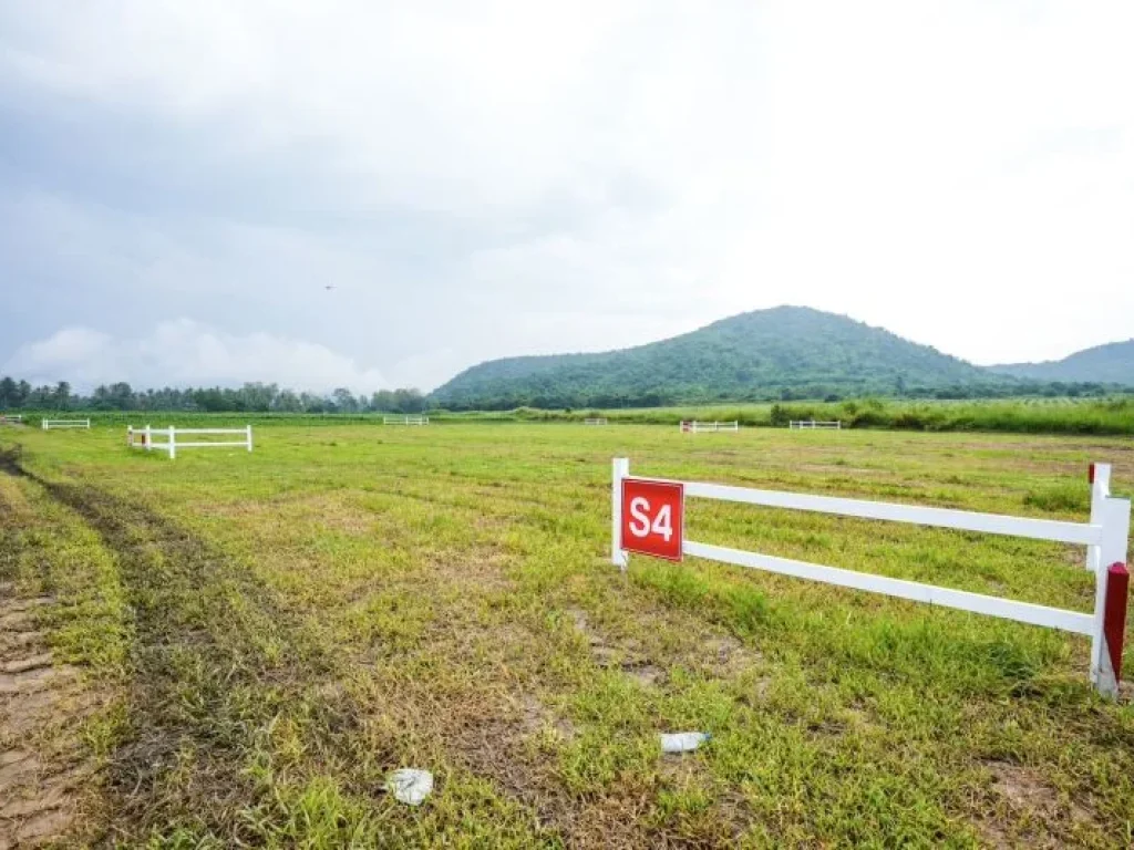 ขายที่ดิน พุหวายวิว เริ่มต้น 1 ไร่ ชะอำ เพชรบุรี