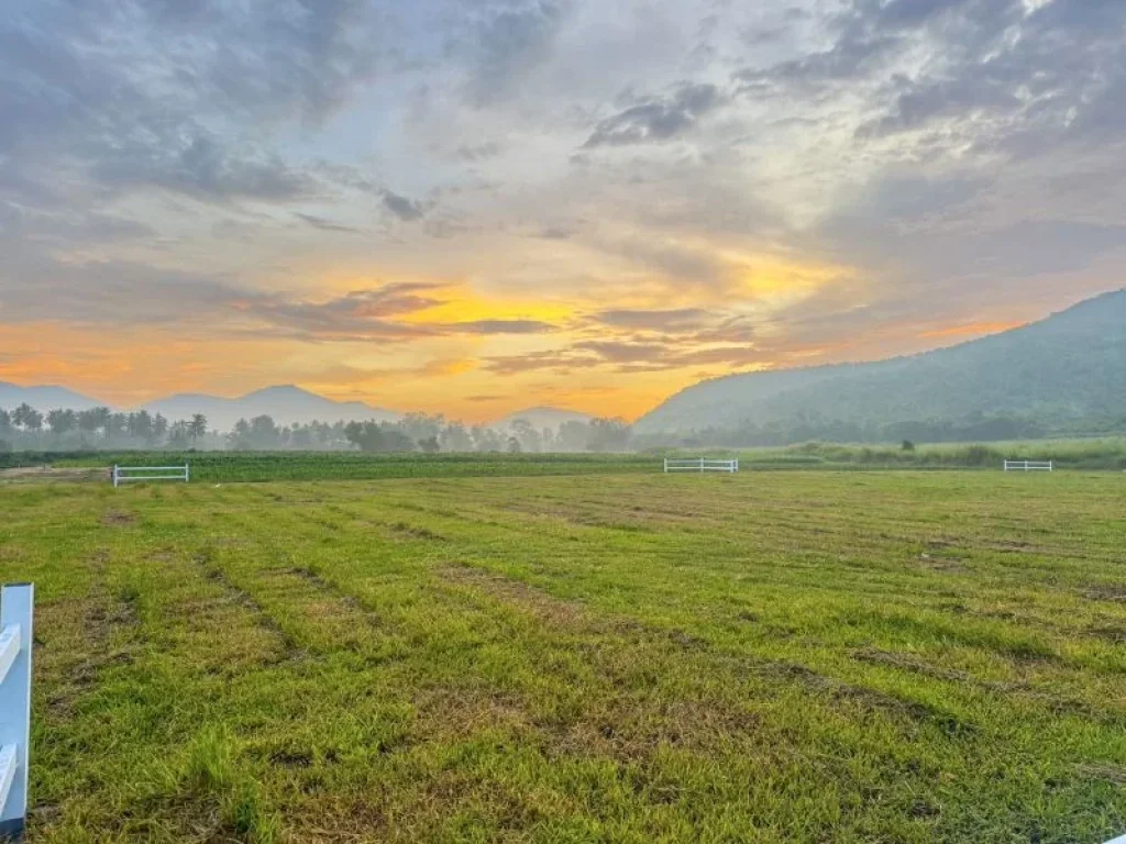 ขายที่ดิน พุหวายวิว เริ่มต้น 1 ไร่ ชะอำ เพชรบุรี