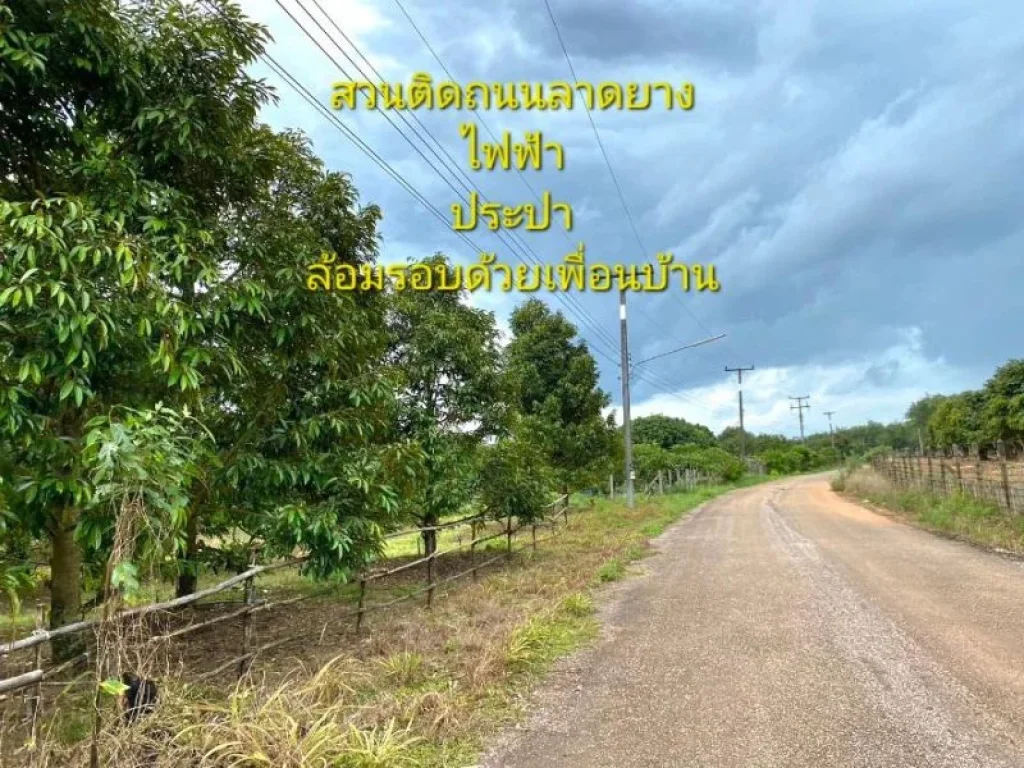 ด่วนขายถูก สวนผสมทุเรียน 8 ไร่ 54 ตร วา 790000 บาท