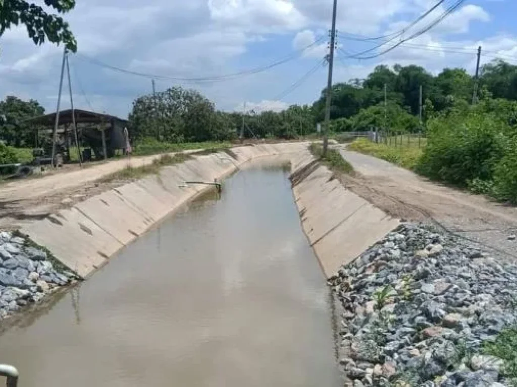 ขายที่ดินตำบลมะขามหลวงสันป่าตองหน้ากว้าง 100เมตรพร้อมโอน