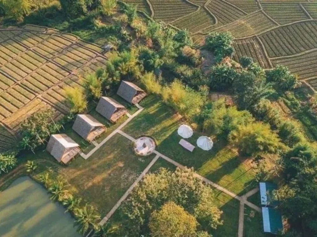 ขายกิจการรีสอทร์วิวดอยพร้อมบ้านพักเชียงดาวโฉนดพร้อมโอน