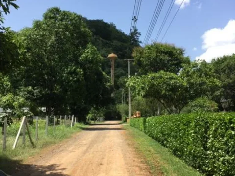 ขายที่ดินแปลงสวย วิวภูเขารายรอบ ย่านพักอาศัยบนผ่านศึก-กุดคล้า