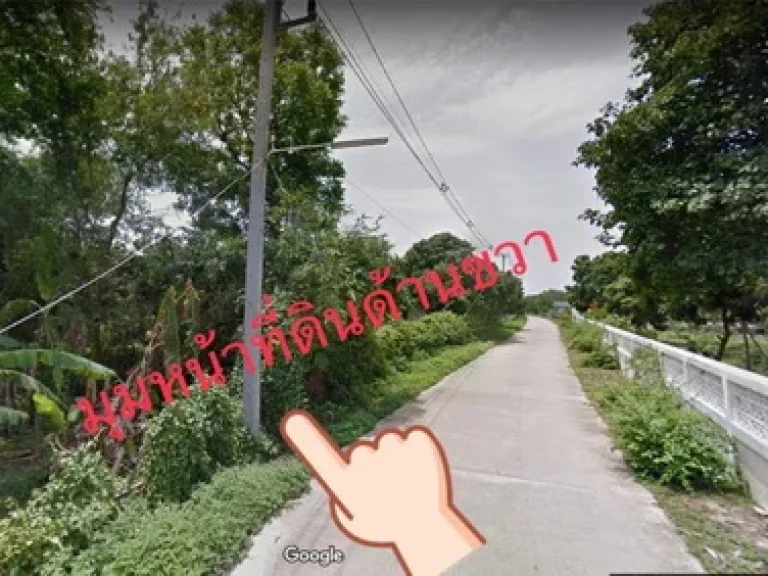 ขายที่ดิน 2-1-39 ไร่ ทำเลดี ตแม่ใส อเมืองพะเยา จพะเยา