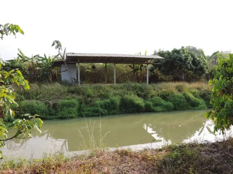 ขายที่สวนลำใยติดคลองชลประทาน พญาชมภู สารภี ราคาถูก