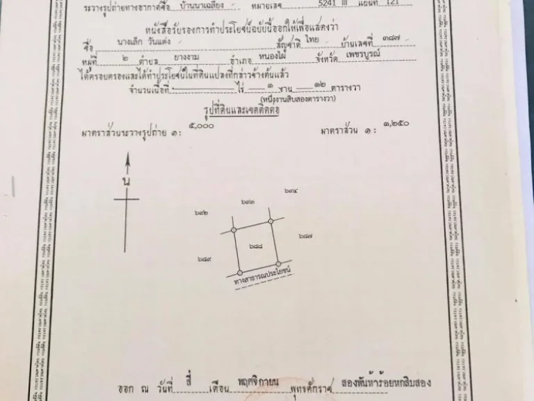 ขายที่ดิน ราคาถูก 112 ตรว หลังธนาคาร ธกส ตำบลยางงาม อำเภอหนองใผ่ จังหวัดเพชรบูรณ์