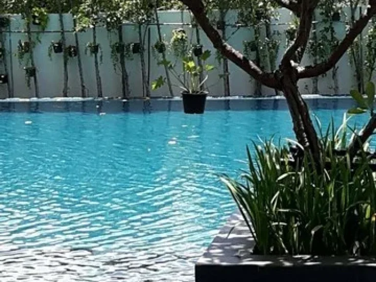 The Room Sukhumvit 62 peaceful convenient private BTS Punnawithi