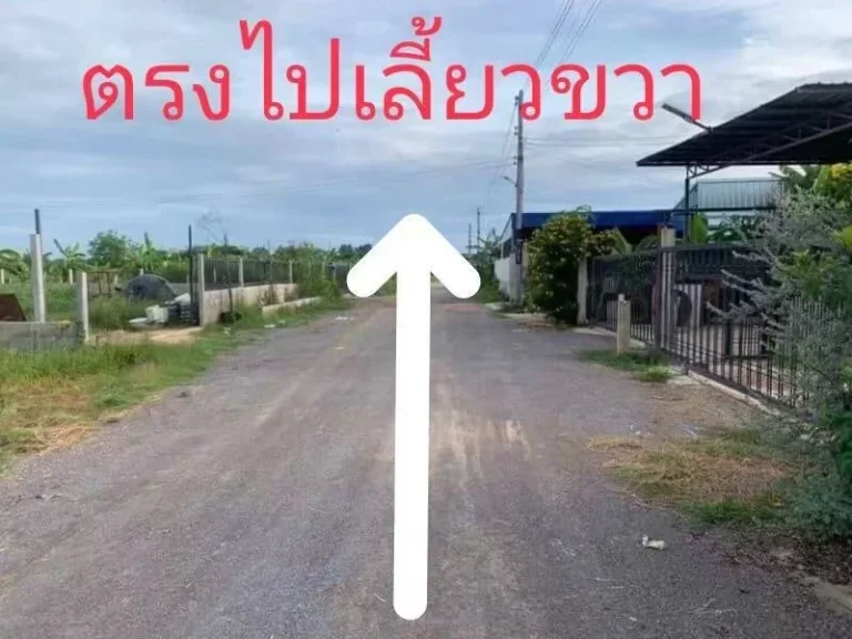 ขายที่ดินเปล่า166ตรว