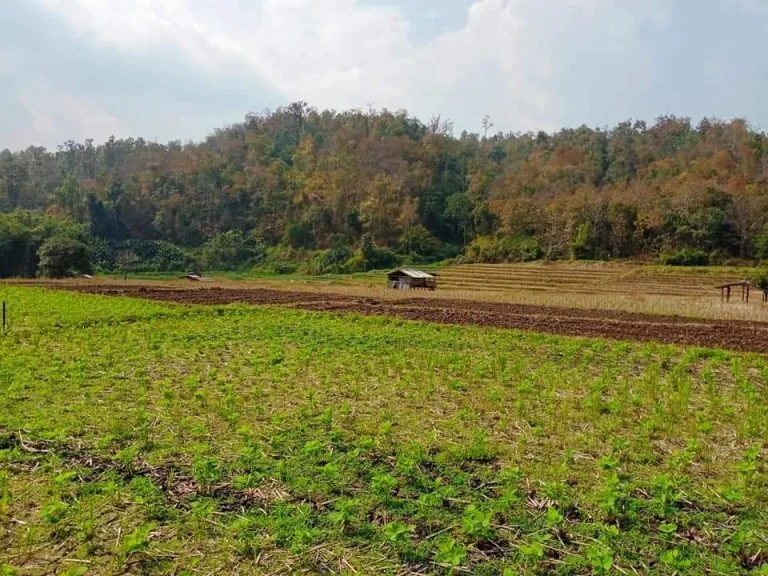 ขายที่นาเนินดอยติดน้ำ สะเมิง วิวดอย ราคาสุดคุ้ม