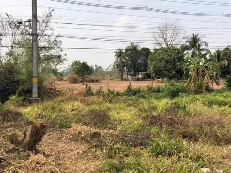 ขายที่ดินสวย 6 ไร่ หนองบัว ติดถนนเส้นหลัก ขอนแก่น-ชุมแพ ทำเลดี เดินทางสะดวก ย่านเศรษฐกิจ