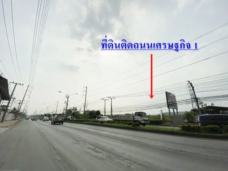 ขายที่ดิน 15 ไร่กว่า ติดถนนเศรษฐกิจ1 นาดี สมุทรสาคร ขายที่ดินสมุทรสาคร