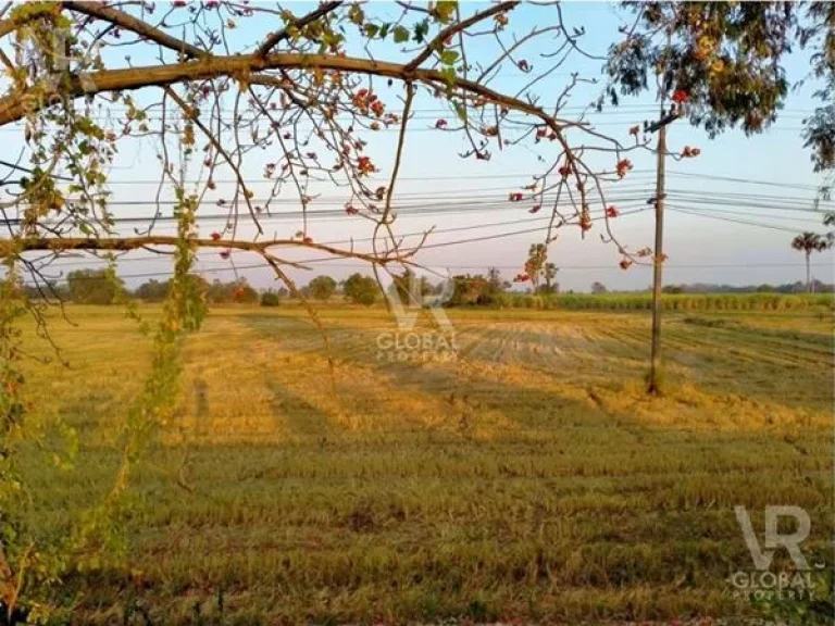 ขายที่ดิน ติดถนนนครสวรรค์-พิษณุโลก วิวสวย อากาศดี ใกล้เมืองนครสวรรค์ ใกล้แม่น้ำปิง