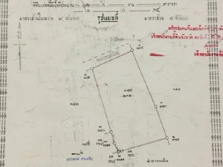 ขายที่ดินแปลงสวย ถนนป่างิ้ว-วิเศษ ทำเลดี แหล่งชุมชน ในอำเภอเมือง ใกล้ขนส่ง อ่างทอง