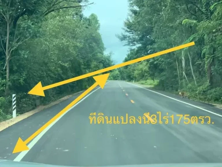 ขายที่ดิน3ไร่175ตรว