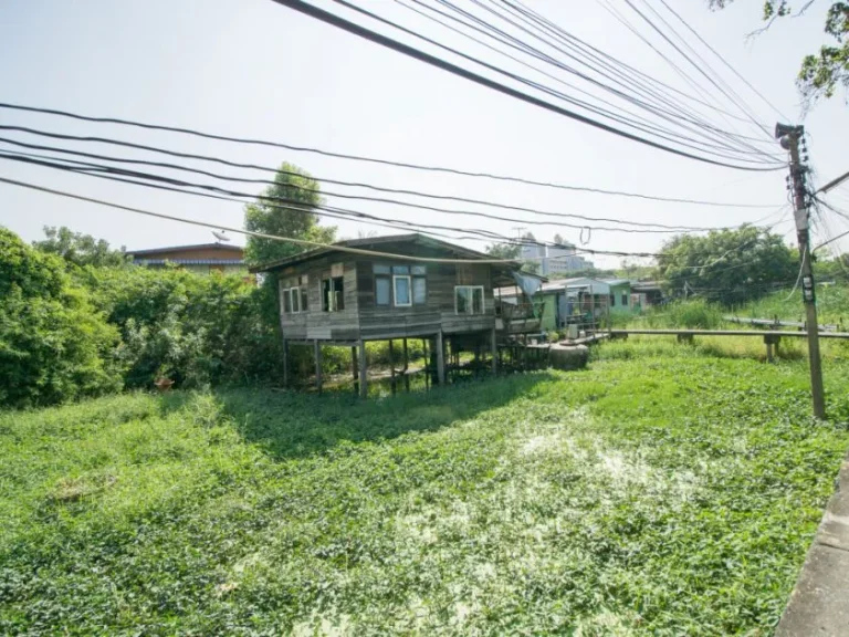 ขายที่ดิน ซเทพกุญชร 131 ตรงข้าม มธรรมศาสตร์ เชียงรากน้อย ปทุมธานี 3 ไร่ 159