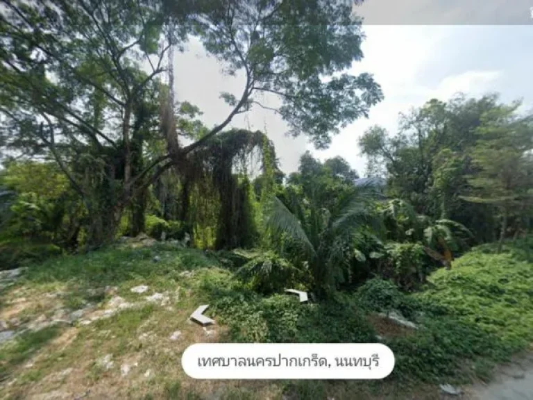 ขายที่ดินริมแม่น้ำเจ้าพระยา 229 ตรว 2-3-35 ไร่ ปากเกร็ด นนทบุรี